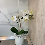 Mareverde Apartmanhotel Costa Adeje (Tenerife)