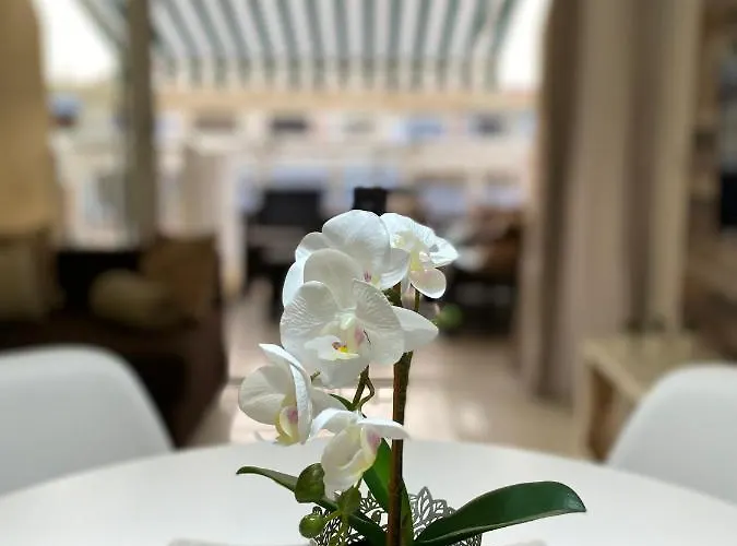 Mareverde Costa Adeje (Tenerife)