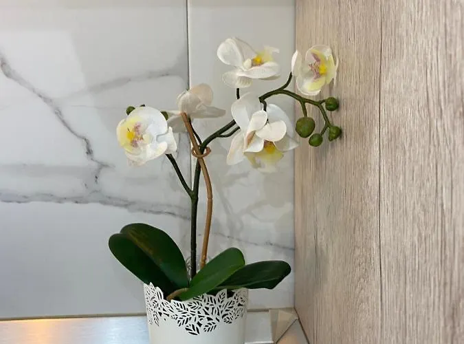 Mareverde Apartmanhotel Costa Adeje (Tenerife)